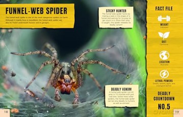 Ultimate Predators: Small but Fierce [KSIĄŻKA]