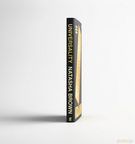 Universality: 'Utterly phenomenal.' ELIZABETH DAY [KSIĄŻKA]