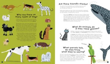 University of Cambridge: There's No Such Thing as a Silly Question: 213 Weird Questions, Expertly Answered! [KSIĄŻKA]