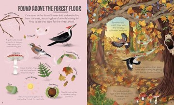 Up in the Air: Seek, find and celebrate nature's treasures with the Natural History Museum [KSIĄŻKA]
