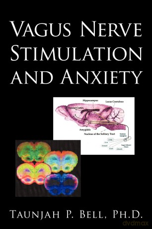 Vagus Nerve Stimulation and Anxiety [KSIĄŻKA]