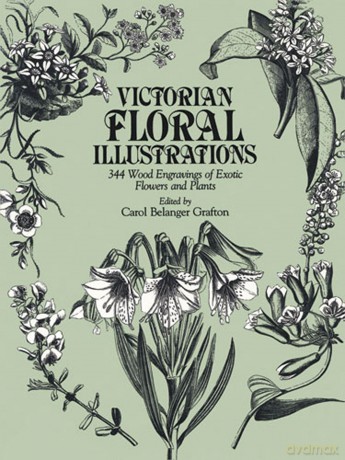 Victorian Floral Illustrations: 344 Wood Engravings of Exotic Flowers and Plants [KSIĄŻKA]