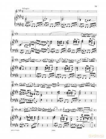 Violin Concerto in E Bwv 1042 [KSIĄŻKA]
