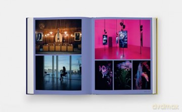 Vitamin V: Video and the Moving Image in Contemporary Art [KSIĄŻKA]