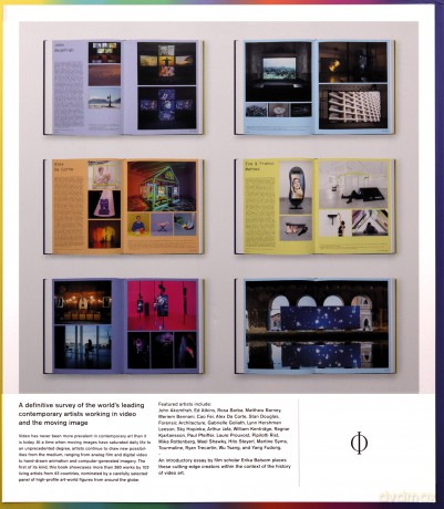 Vitamin V: Video and the Moving Image in Contemporary Art [KSIĄŻKA]