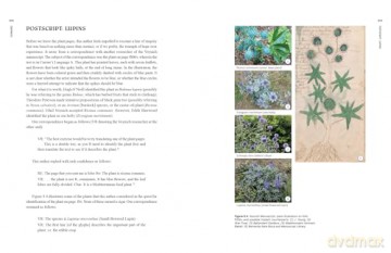 Voynich Reconsidered: The Most Mysterious Manuscript in the World [KSIĄŻKA]