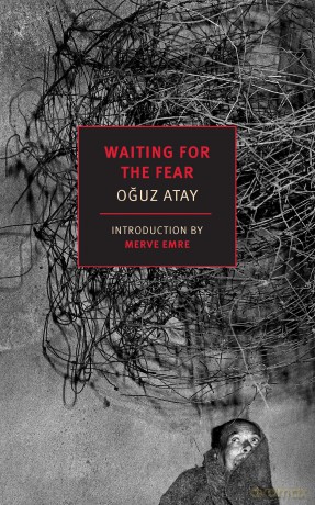 Waiting for the Fear [KSIĄŻKA]