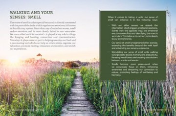 Walking for Mind, Body and Soul: How to Walk Your Way to Wellness [KSIĄŻKA]