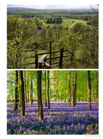 Walks for Each Season Second Edition: 26 great days out in the countryside near London [KSIĄŻKA]