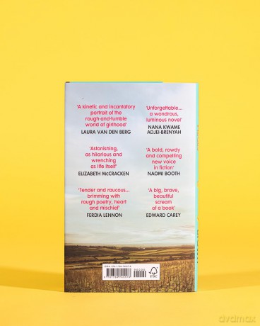 We Pretty Pieces of Flesh: 'Blistering, brilliant, savage and smart' EIMEAR McBRIDE [KSIĄŻKA]