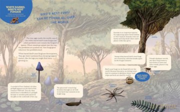 We Spy Fungi: Search and Find Mushrooms, Cacti, and Other Fascinating Plants [KSIĄŻKA]