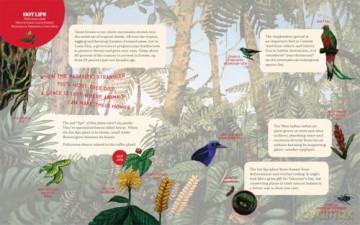 We Spy Fungi: Search and Find Mushrooms, Cacti, and Other Fascinating Plants [KSIĄŻKA]