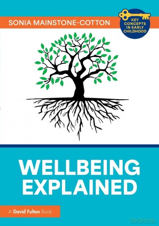 Wellbeing Explained [KSIĄŻKA]