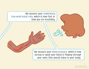 What Are Vital Signs: 2 [KSIĄŻKA]