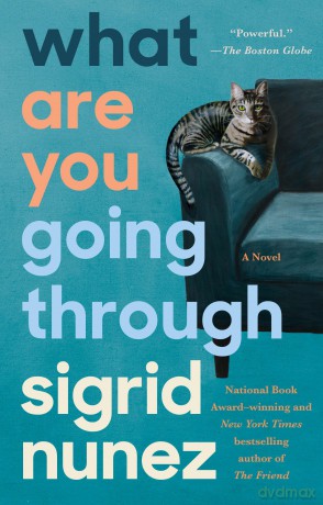 What Are You Going Through: A Novel [KSIĄŻKA]