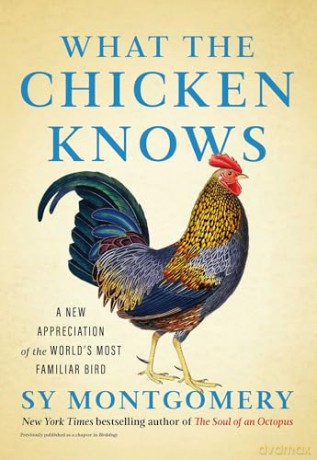 What the Chicken Knows: A New Appreciation of the World's Most Familiar Bird [KSIĄŻKA]