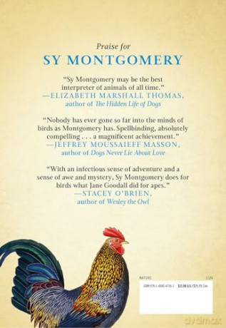 What the Chicken Knows: A New Appreciation of the World's Most Familiar Bird [KSIĄŻKA]