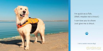 When Dogs Work: 8 [KSIĄŻKA]