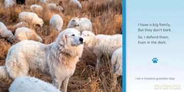 When Dogs Work: 8 [KSIĄŻKA]