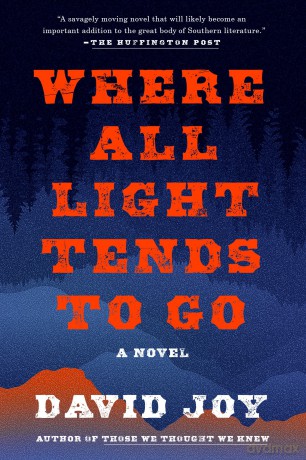 Where All Light Tends to Go [KSIĄŻKA]