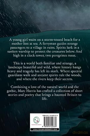 Wild and Uncanny Tales [KSIĄŻKA]