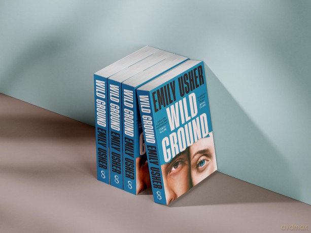 Wild Ground: 'As addictive as Normal People' - Jenna Clake [KSIĄŻKA]