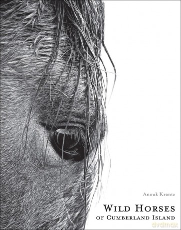 Wild Horses of Cumberland Island: Anouk Masson Krantz [KSIĄŻKA]