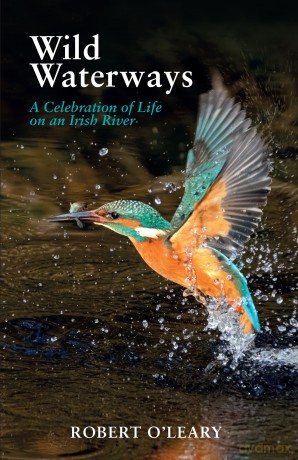 Wild Waterways: A Celebration of Life on an Irish River [KSIĄŻKA]