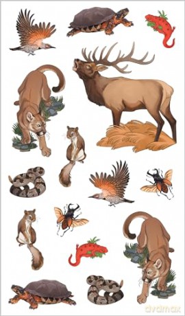 Wild, Wonderful Tattoo Woodland Animals: 60 Temporary Tattoos That Teach [KSIĄŻKA]