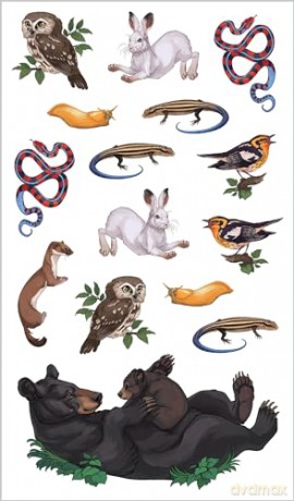Wild, Wonderful Tattoo Woodland Animals: 60 Temporary Tattoos That Teach [KSIĄŻKA]