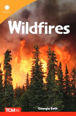 Wildfires [KSIĄŻKA]