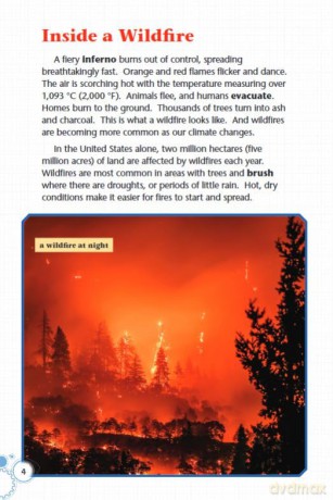 Wildfires [KSIĄŻKA]