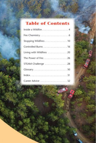 Wildfires [KSIĄŻKA]