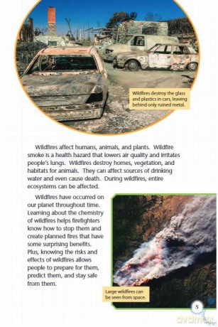 Wildfires [KSIĄŻKA]