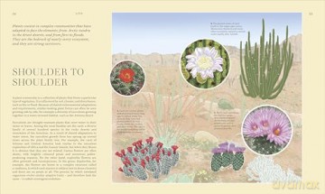 Wildflowers: Discover the Science and Secrets Behind the World of Wildflowers [KSIĄŻKA]