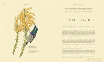 Wildflowers: Discover the Science and Secrets Behind the World of Wildflowers [KSIĄŻKA]