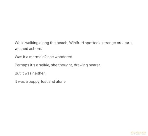 Winifred Wanders the World [KSIĄŻKA]