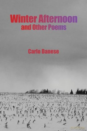 Winter Afternoon and Other Poems [KSIĄŻKA]