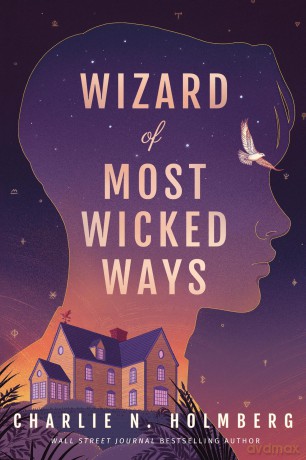 Wizard of Most Wicked Ways: 4 [KSIĄŻKA]