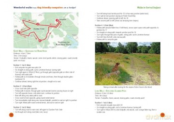 Wonderful Walks from Dog-Friendly Campsites on a Budget [KSIĄŻKA]