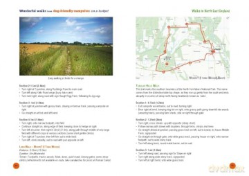 Wonderful Walks from Dog-Friendly Campsites on a Budget [KSIĄŻKA]