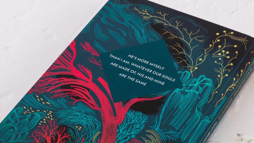 Wuthering Heights: by Emily Brontë [KSIĄŻKA]