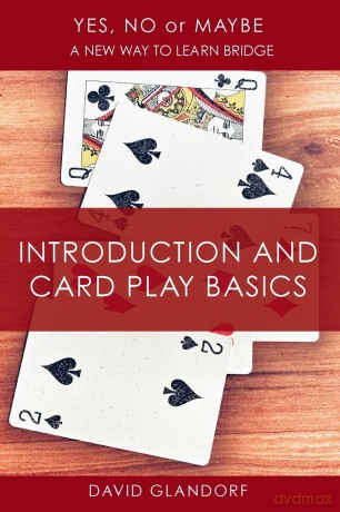 Ynm: Introduction and Card Play Basics: T1 [KSIĄŻKA]