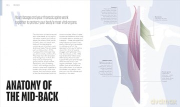 Yoga Fix: Functional Movement for a Pain-Free Body [KSIĄŻKA]