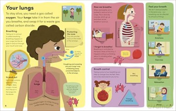 You and Your Body: A First Look Inside the Human Body [KSIĄŻKA]