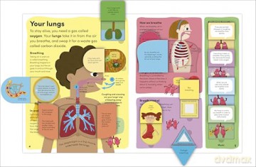 You and Your Body: A First Look Inside the Human Body [KSIĄŻKA]