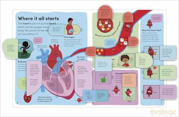 You and Your Body: A First Look Inside the Human Body [KSIĄŻKA]
