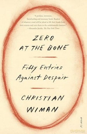 Zero at the Bone: Fifty Entries Against Despair [KSIĄŻKA]