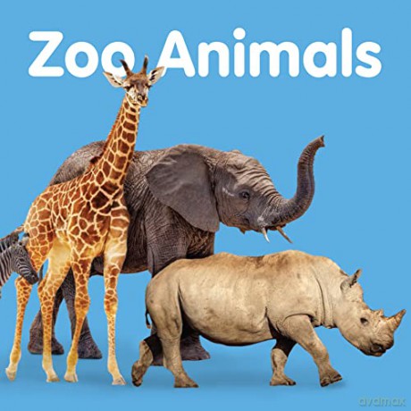 Zoo Animals: Board book [KSIĄŻKA]