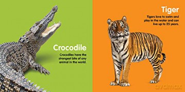 Zoo Animals: Board book [KSIĄŻKA]